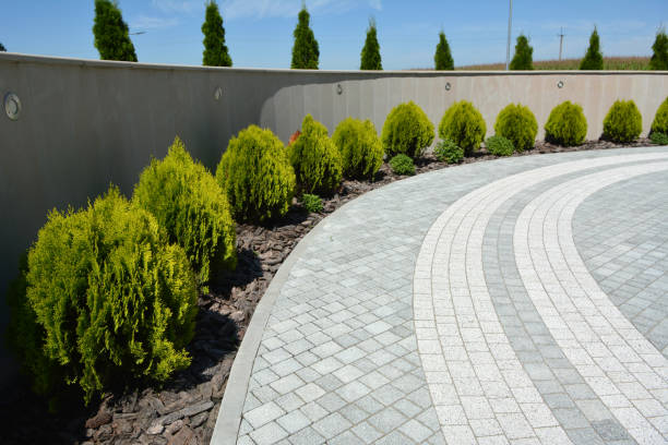 Best Best Driveway Pavers  in Arcola, TX